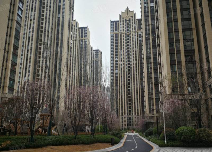 美盛教育港灣