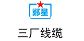 三廠電線